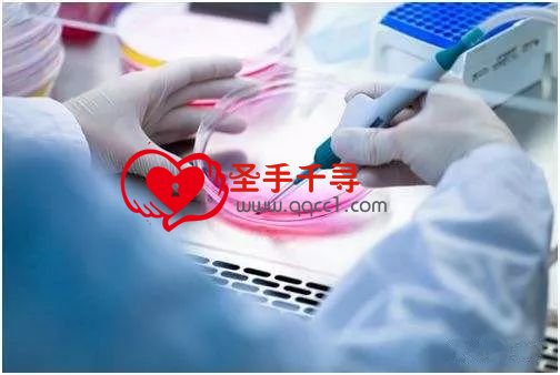 为什么干细胞能起到抗衰老的效果?