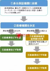 只通过你们办理医疗签证，预约医院，就医的时