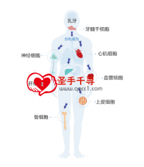 什么是日本现在流行的再生医疗？